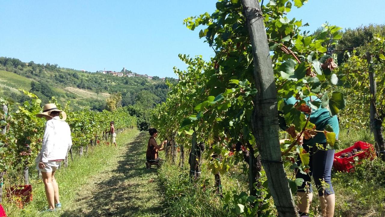 Farmstay Kmetija Stekar Kojsko Exterior foto